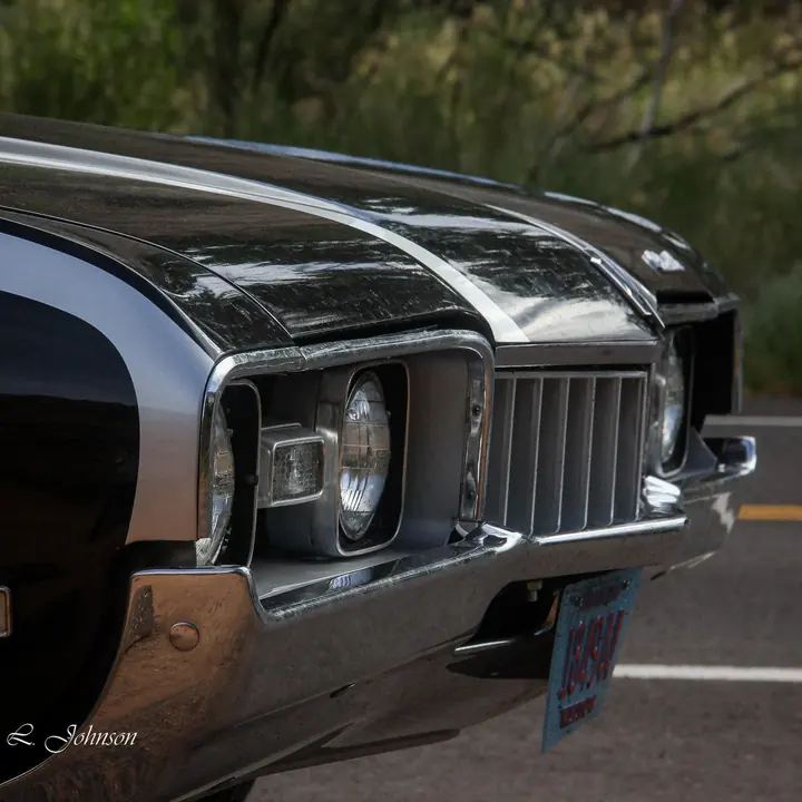 Cutlass, Detail. Details by Miranda Johnson.