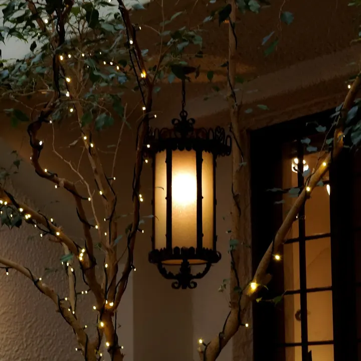Lanterns. Details by Miranda Johnson.