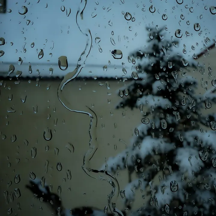 Rain on Glass. Details by Miranda Johnson.